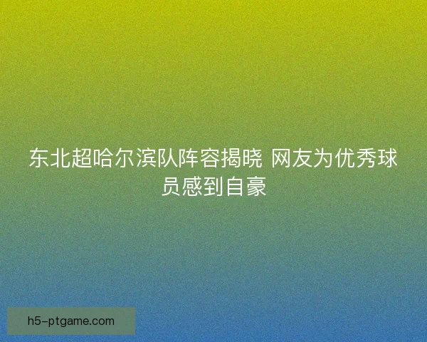 东北超哈尔滨队阵容揭晓 网友为优秀球员感到自豪